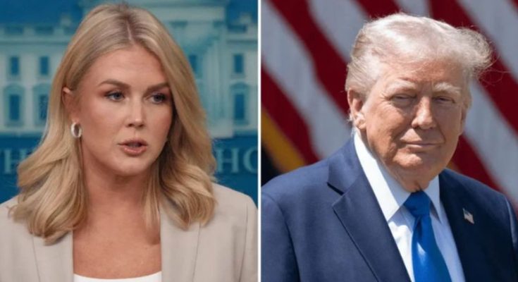 Leavitt Says Dems ‘Fell Right Into’ Trump’s State