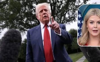 donald Trump points at press microphones with Karoline Leavitt inset photo
