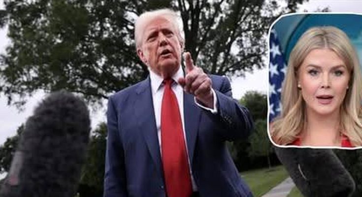 donald Trump points at press microphones with Karoline Leavitt inset photo