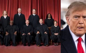 US Supreme Court justices in black robes and Donald Trump in split composition