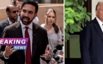 breaking news split screen with reporter and Donald Trump at press event